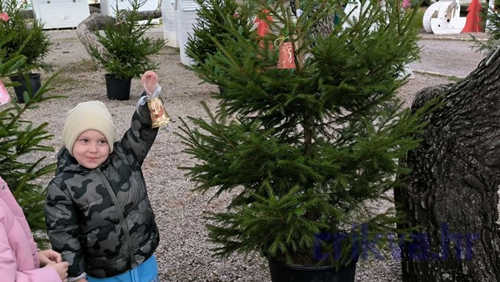 FOTO: Antonio Bujan Maričić